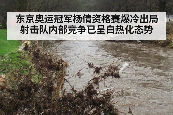 东京奥运冠军杨倩资格赛爆冷出局射击队内部竞争已呈白热化态势
